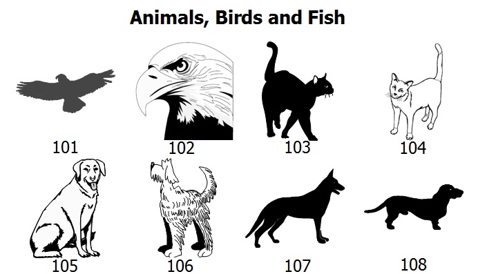 animal-graphics-1.jpg